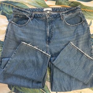 Abercrombie & Fitch Curve Love High Rise Loose Jean- Size 18/34